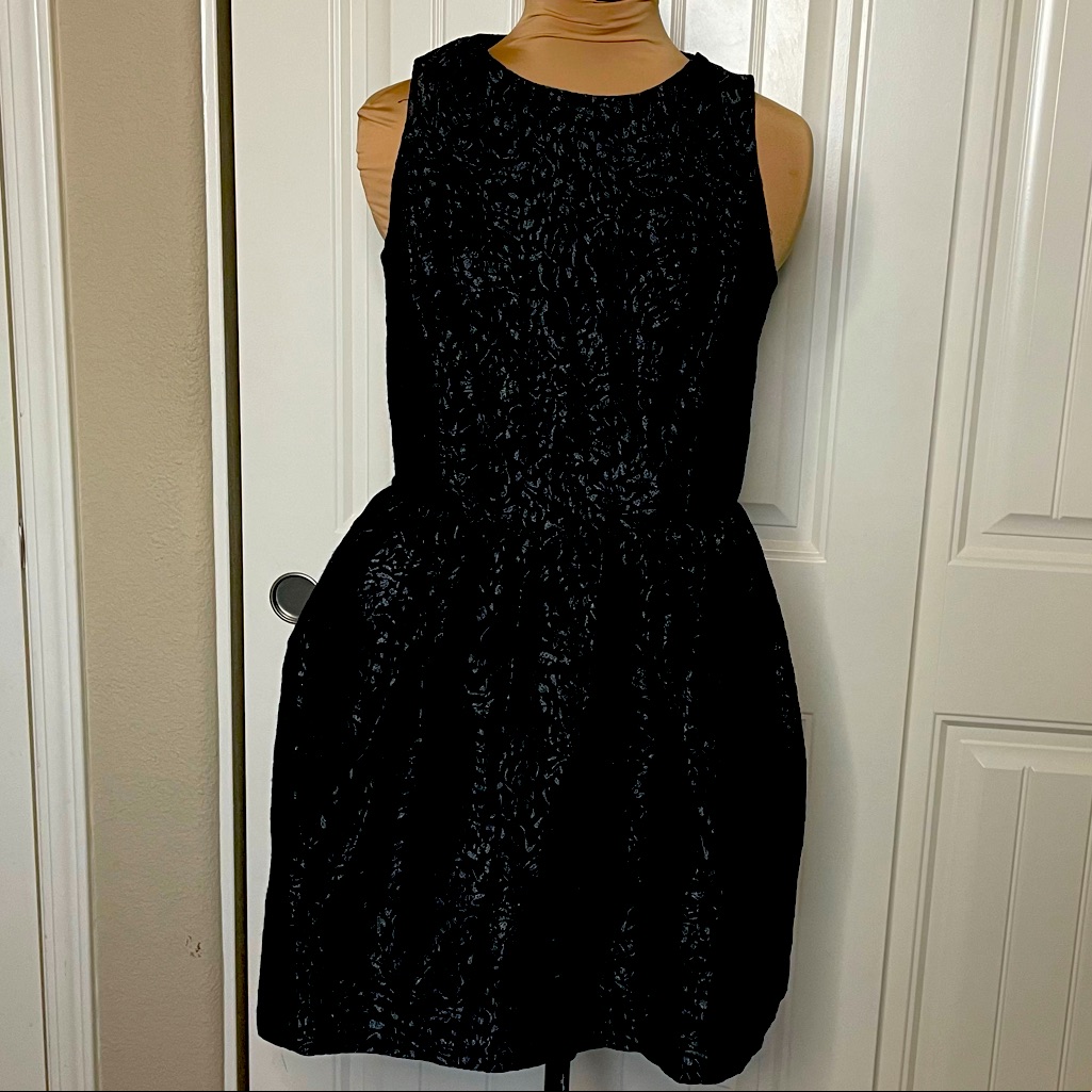 Elegant Looking Armani Exchange Dress